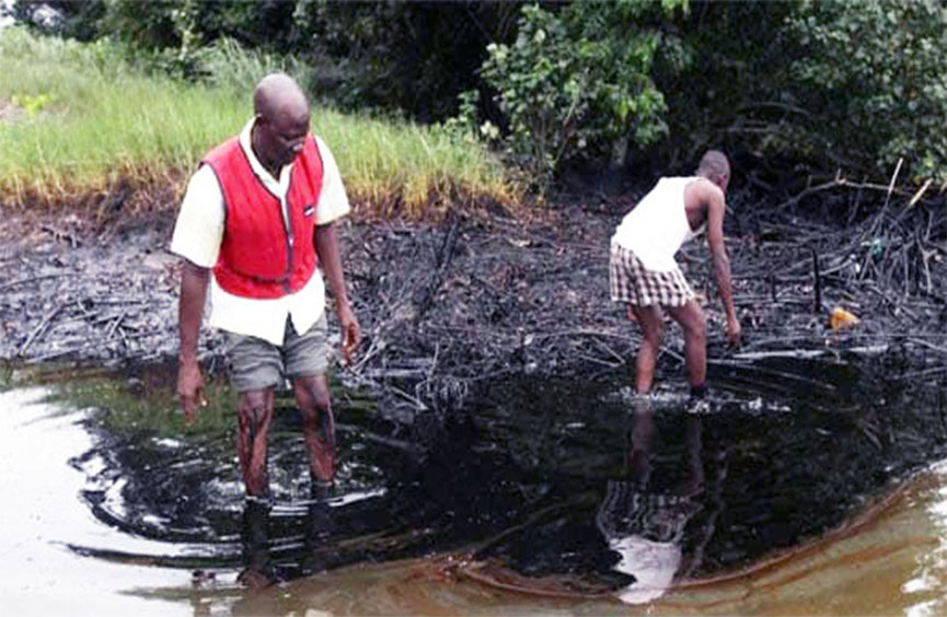 PIB: WAY FORWARD FOR THE NIGER DELTA